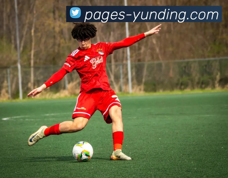 云顶官网APP 高清赛事图